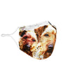 Lovely Irish Terrier Print Face Mask