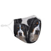 Greater Swiss Mountain Dog Print Face Mask- Limited Edition