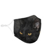 Bombay Cat On Black Print Face Mask