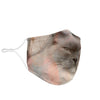 Lovely Ragdoll Cat Print Face Mask