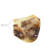 Brussels Griffon Print Face Mask