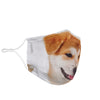 Lovely Shiba Inu Print Face Mask