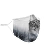 Abyssinian Cat Print Face Mask