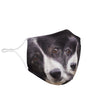 Border Collie Print Face Mask