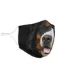 Cute Bernese Mountain Dog Print Face Mask