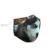 Amazing Siberian Husky Print Face Mask