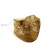 Amazing Somali Cat Print Face Mask- Limited Edition