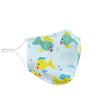 Multiple Colors Fish Print Face Mask