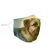 Amazing Border Terrier Print Face Mask