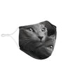 Russian Blue Cat Print Face Mask