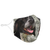 Pointer Dog Print Face Mask