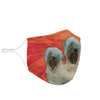 Soft Coated Wheaten Terrier Print Face Mask