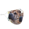 Chinese Shar Pei Print Face Mask- Limited Edition