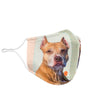 Cute American Pit Bull Terrier Print Face Mask