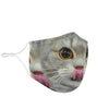 Scottish Fold Cat Face Print Face Mask