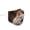 American Eskimo Dog Print Face Mask