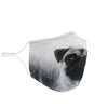 Pug Print Face Mask- Limited Edition