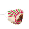 Cute Irish Setter Dog Print Face Mask